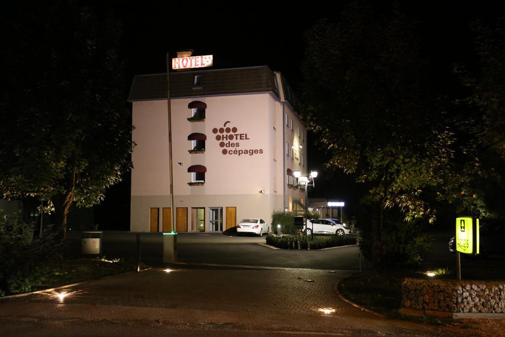 Logis Hotel Des Cepages Arbois Buitenkant foto